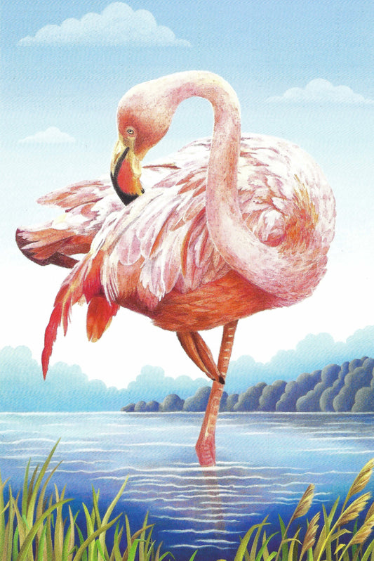 Postcardsee - Pink Flamingo - Postcard