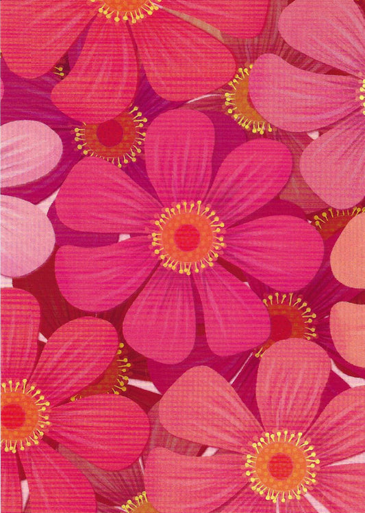 Red Gerbera Postcard by Nobis Design featuring flowers with orange centers on a red background