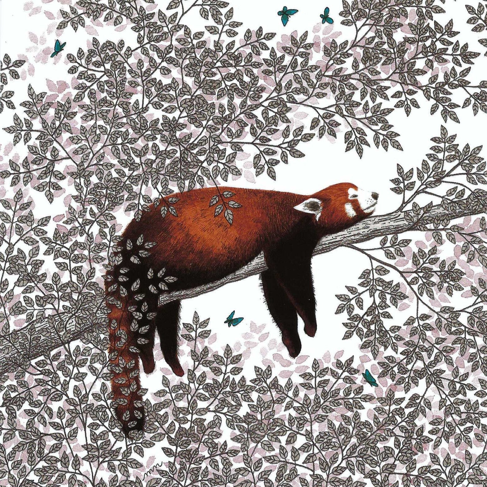Red Panda Postcard by Editions Titi Pinson featuring a red panda on a branch with a floral background and butterflies
