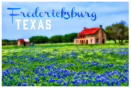 Lantern Press Postcard Fredericksburg - Texas - Bluebonnets