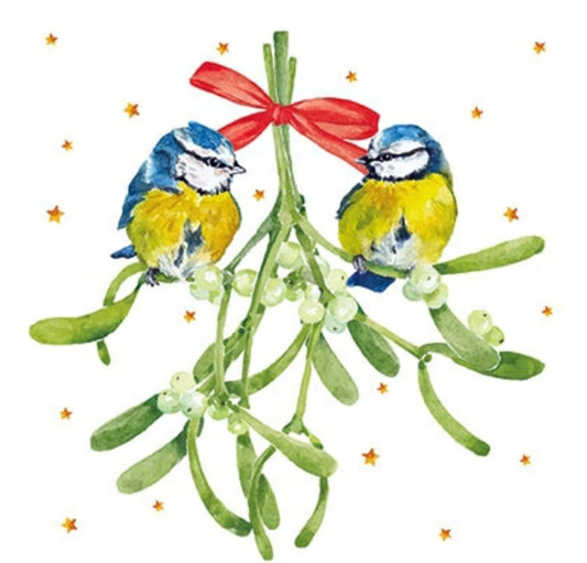 Bird on Mistletoe Christmas Postcard by Carola Pabst - Edition Gollong