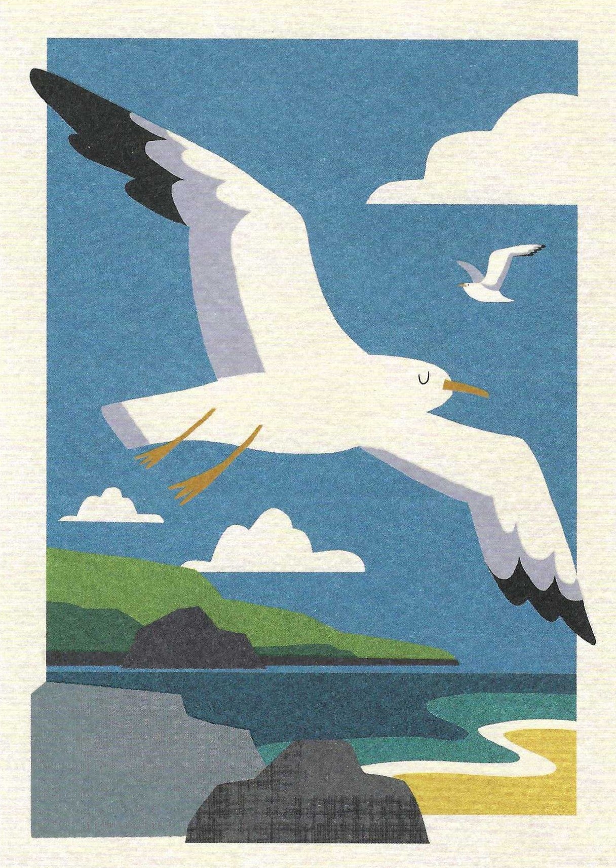 Seagull's Flight Postcard featuring an illustration of a seagull flying over a coastal landscape with rocks and water.