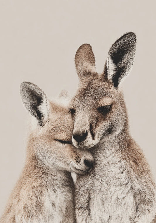 Kangaroos Postcard by Fripperies featuring two kangaroos embracing each other against a plain background