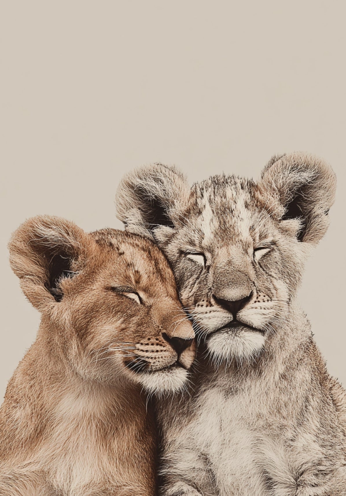Lions Postcard by Fripperies featuring two lion cubs against a beige background