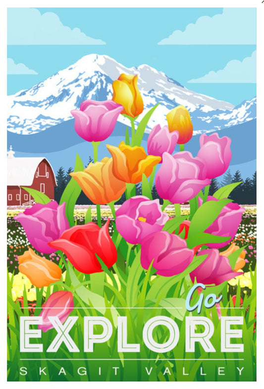 Lantern Press postcard of Skagit Valley, Washington - Mount Baker with colorful tulips and a mountain, featuring the text 'Go Explore Skagit Valley'.
