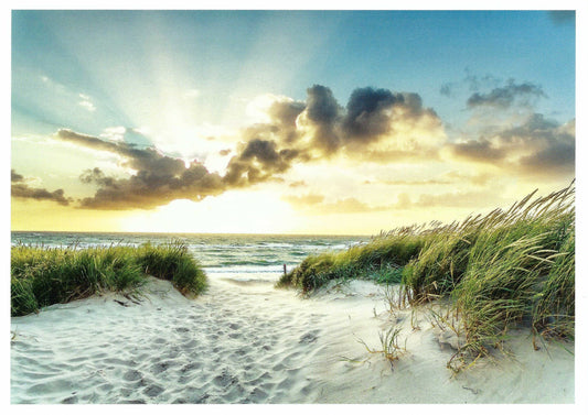 Skowronski and Koch - Beach - Sun - Ocean - Postcard