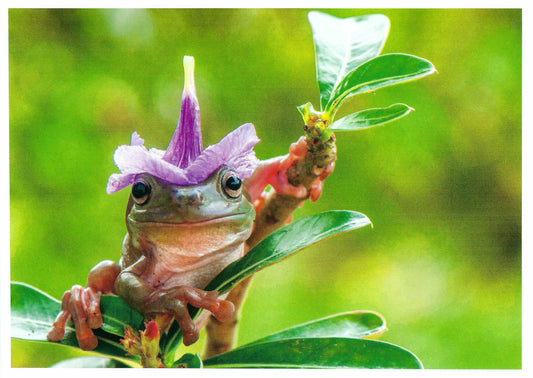Skowronski and Koch - Frog with Flower Hat - Postcard