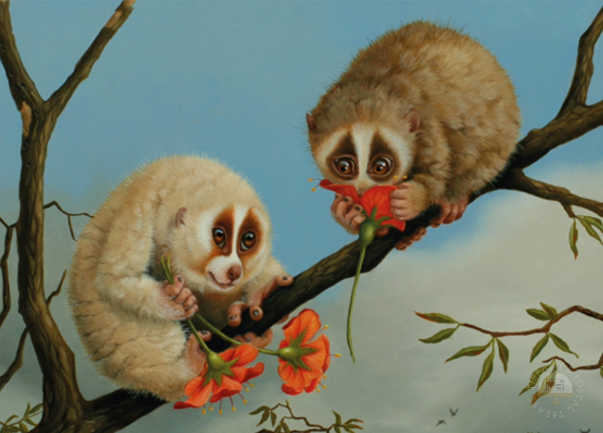 Slow Loris in Love Postcard by Inkognito featuring two slow lorises on a branch with red flowers against a blue sky.