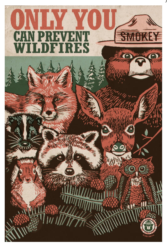 Lantern Press Postcard of Smokey Bear and forest animals with 'Only You Can Prevent Wildfires' text.