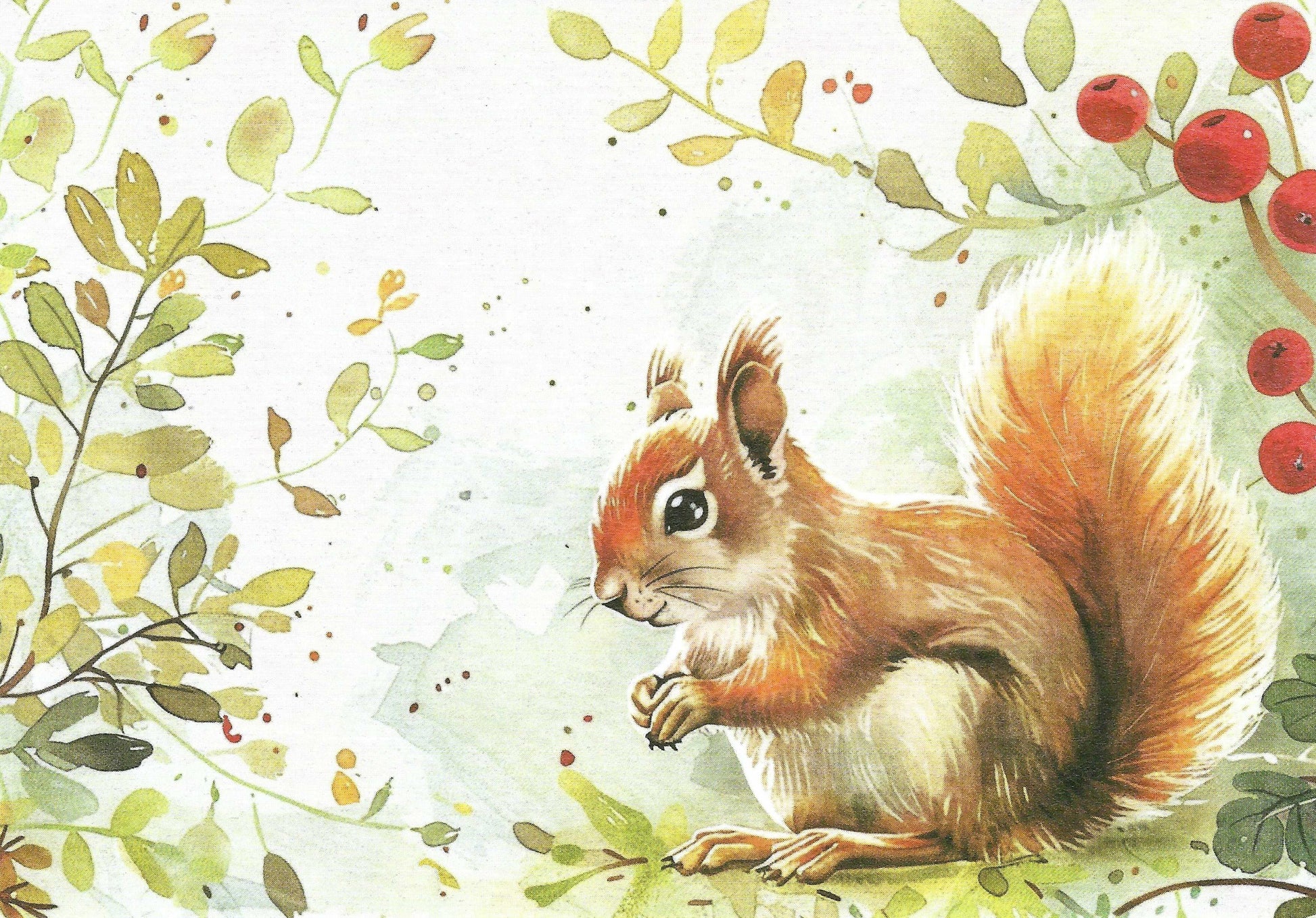Squirrel Postcard by Edition Gollong featuring an illustration of a squirrel among leaves and berries
