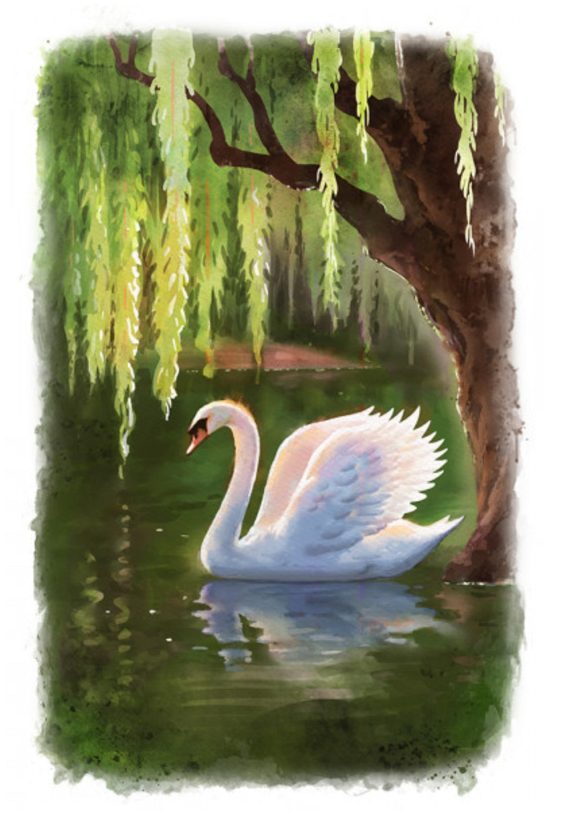 Swan & Willows Postcard by Lantern Press featuring a white swan swimming on dark green water beneath a weeping willow tree with hanging yellow-green leaves.
