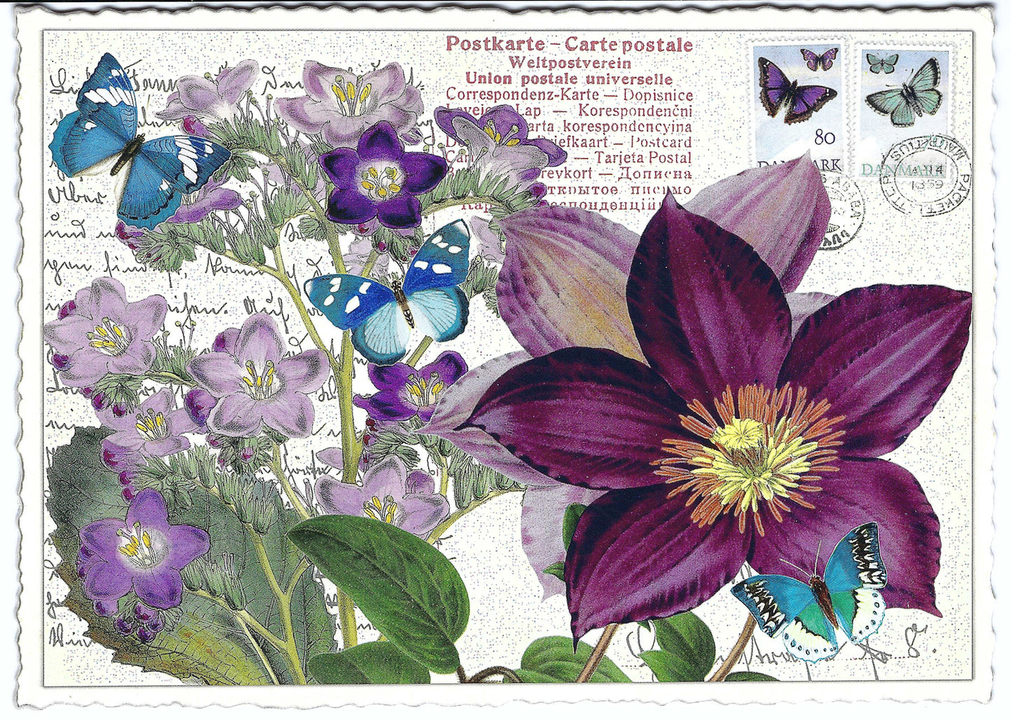 Edition Tausendschön - Anemone - Flowers - PK899 - Postcard