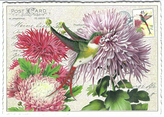 Edition Tausendschön - Aster - Bird - PK900 - Postcard