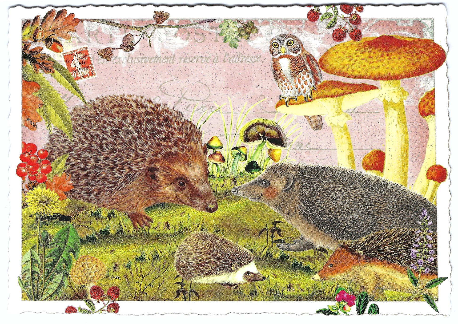 Fall Postcard by Edition Tausendschön - Autumn Feelings - Hedgehog -Mushrooms - owl