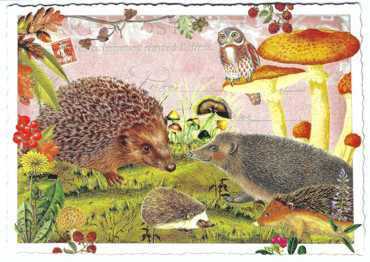 Fall Postcard by Edition Tausendschön - Autumn Feelings - Hedgehog -Mushrooms - owl