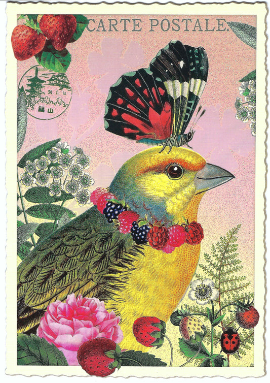 Edition Tausendschön - Bird and Butterfly - PK913- Postcard