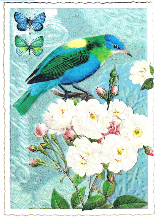 Edition Tausendschön - Bird - PK401 - Postcard