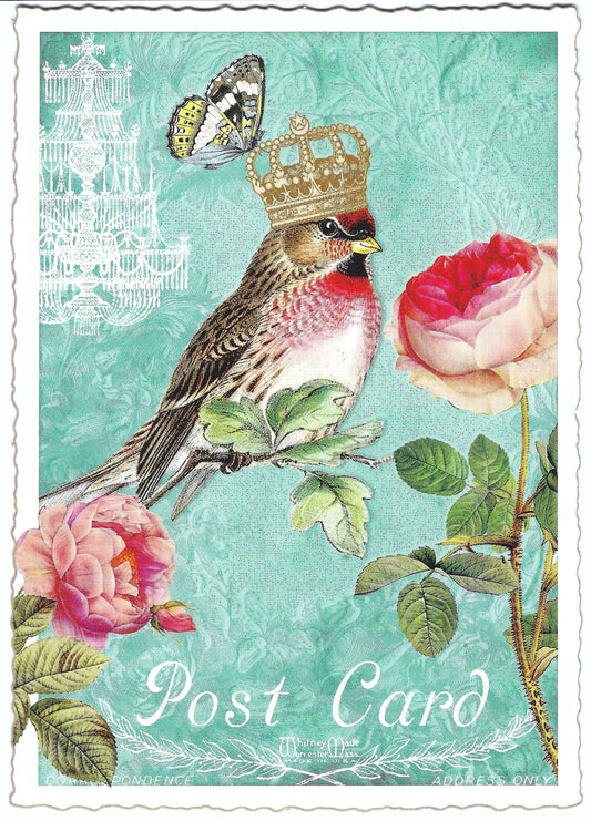 Edition Tausendschön - Bird- PK706 - Postcard