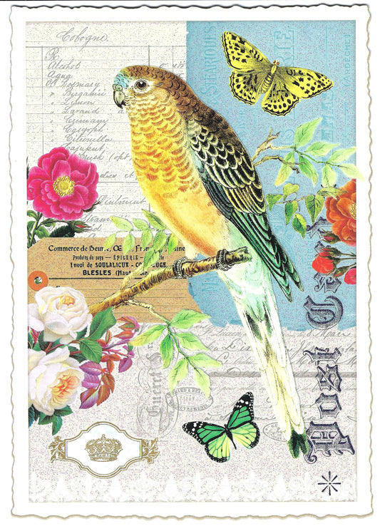 Edition Tausendschön - Bird - PK781 - Postcard