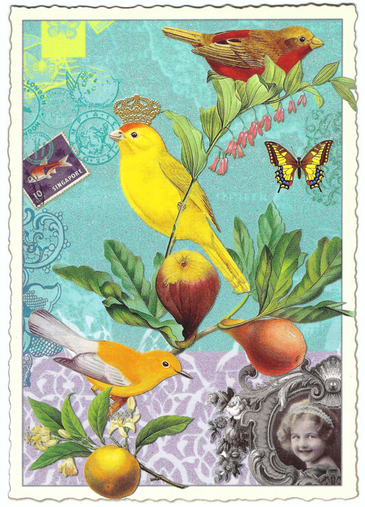 Edition Tausendschön - Birds - PK375- Postcard
