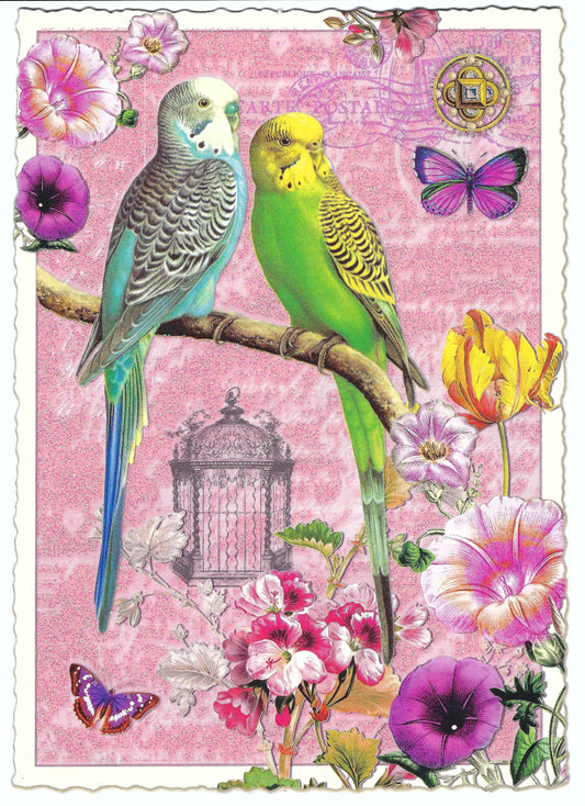 Edition Tausendschön - Budgies - PK383- Postcard