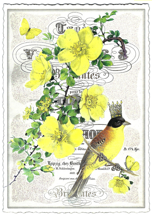 Edition Tausendschön - Buttercup - Bird - PK942 - Postcard