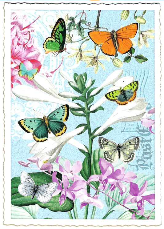 Edition Tausendschön - Butterflies - PK915 - Postcard