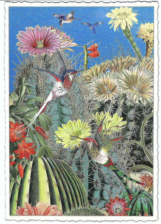 Edition Tausendschön - Cactus - Hummingbird - Postcard