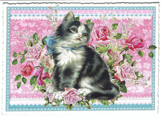 Edition Tausendschön - Cat - PK191 - Postcard