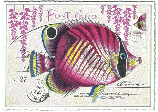 Edition Tausendschön - Fish - Postcard