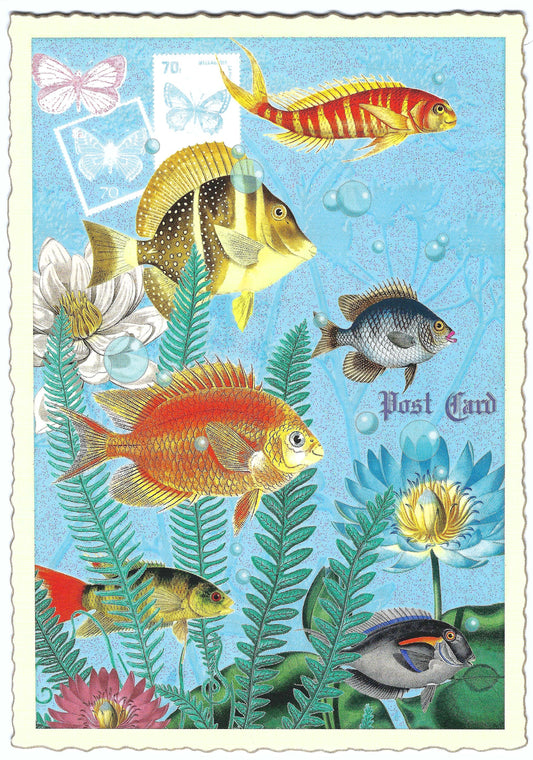 Edition Tausendschön - Fish - PK918 - Postcard