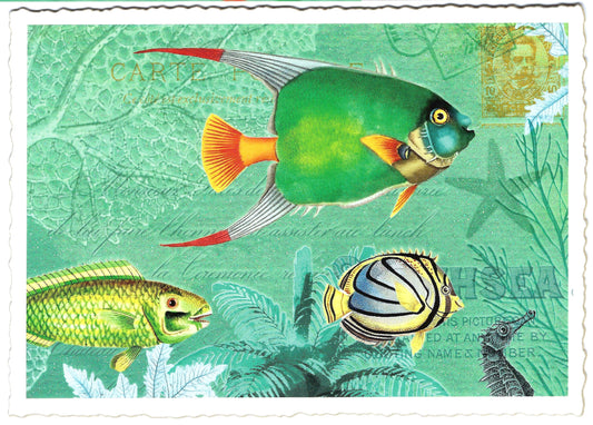 Edition Tausendschön - Fish - PK981 - Postcard