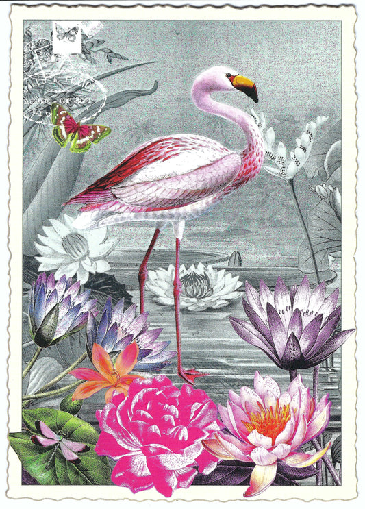 Edition Tausendschön - Flamingo - PK404 - Postcard