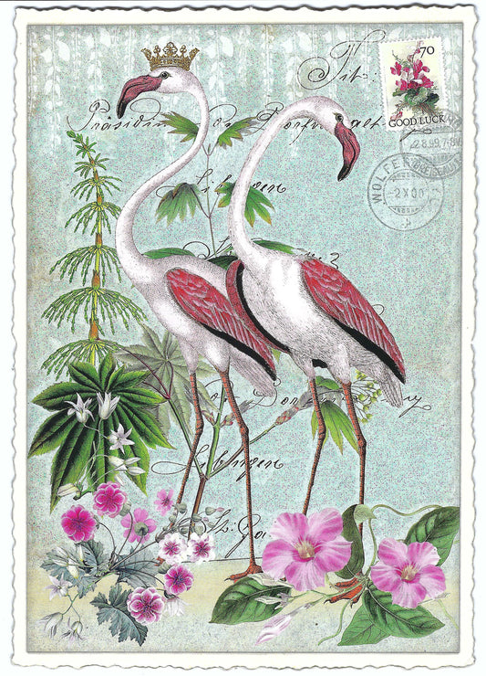 Edition Tausendschön - Flamingos - PK659 - Postcard