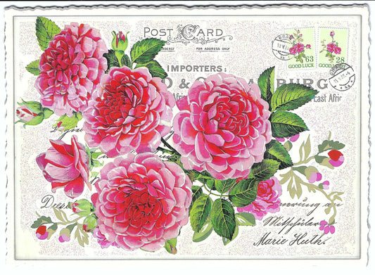 Edition Tausendschön - Flowers - Postcard