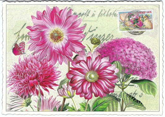 Edition Tausendschön - Flowers - PK793 - Postcard