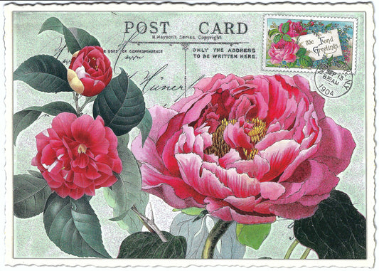 Edition Tausendschön - Flowers - PK795 - Postcard