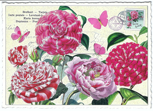 Edition Tausendschön - Flowers - PK796 - Postcard