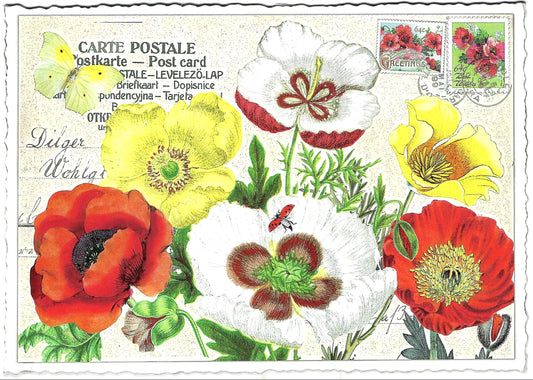Edition Tausendschön - Flowers - PK797 - Postcard