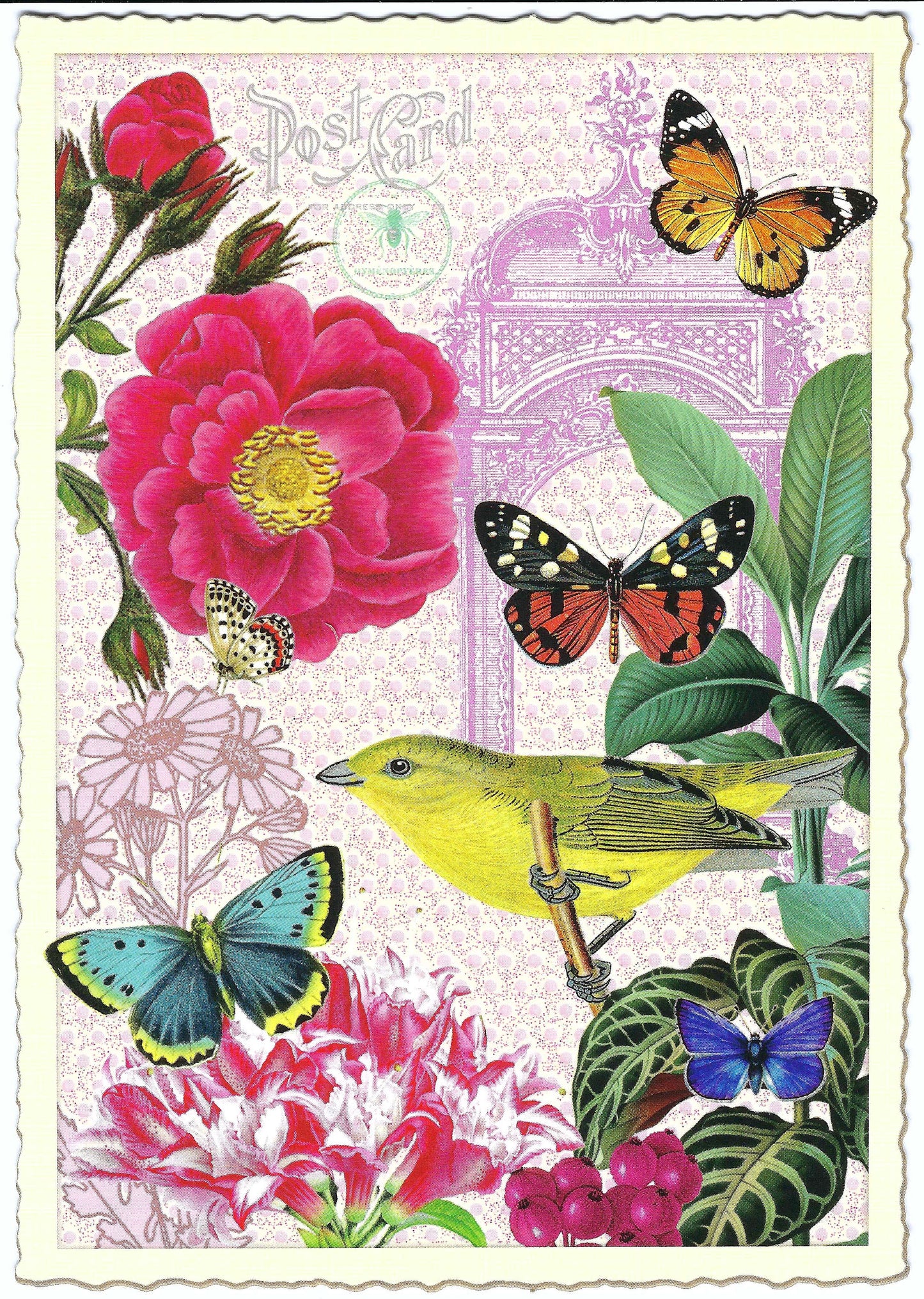 Edition Tausendschön - Flowers with Butterflies - PK905 - Postcard