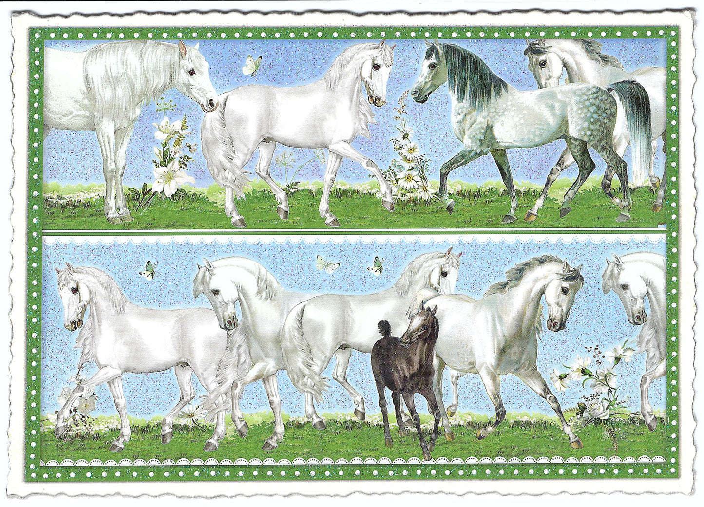 Edition Tausendschön - Horses - PK831 - Postcard