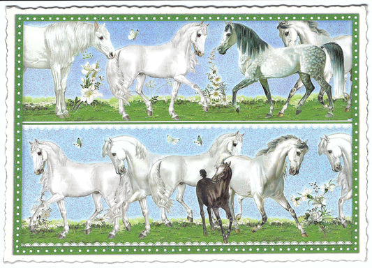 Edition Tausendschön - Horses - PK831 - Postcard