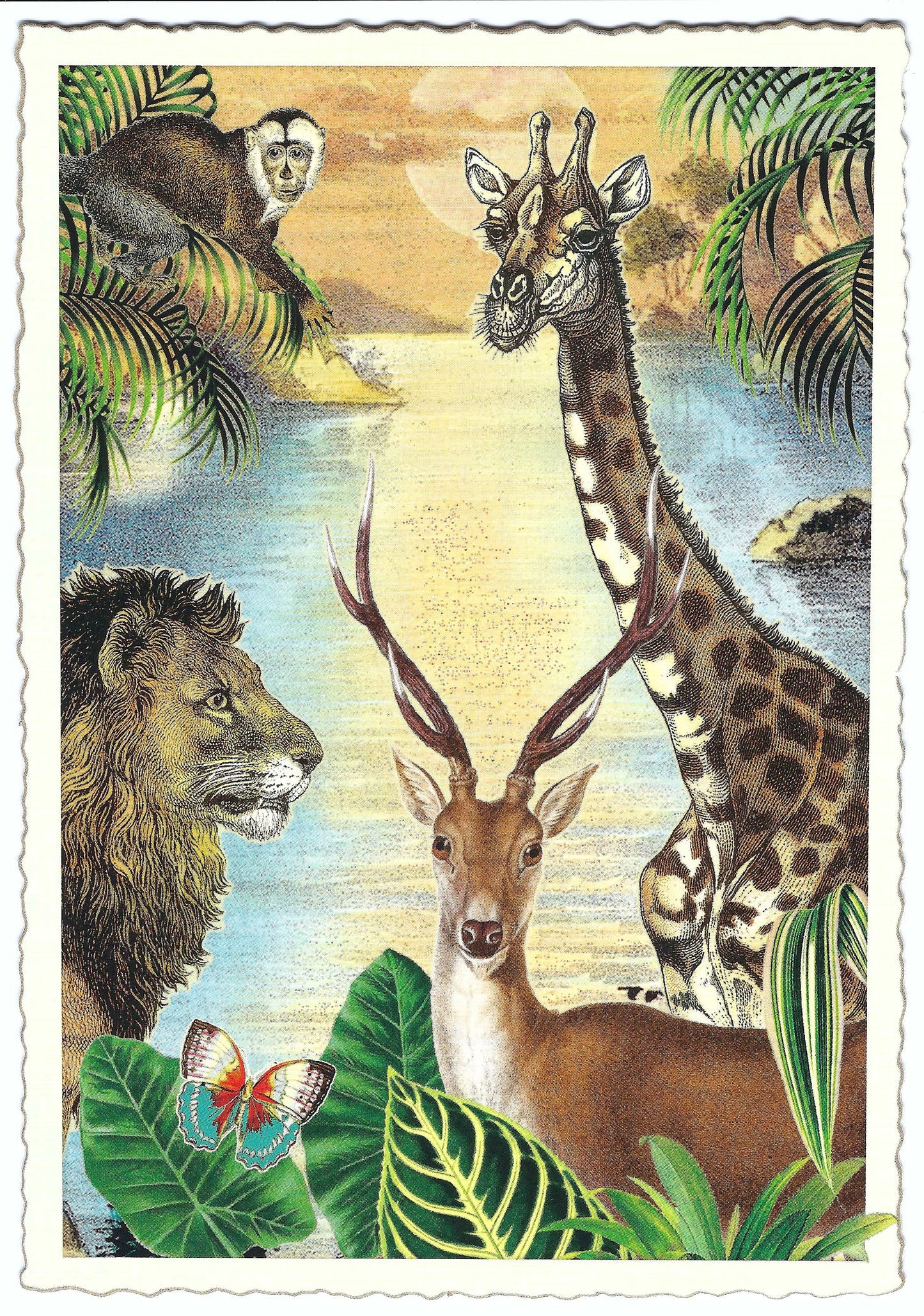 Edition Tausendschön - Jungle - Lion - Giraffe - PK782 - Postcard