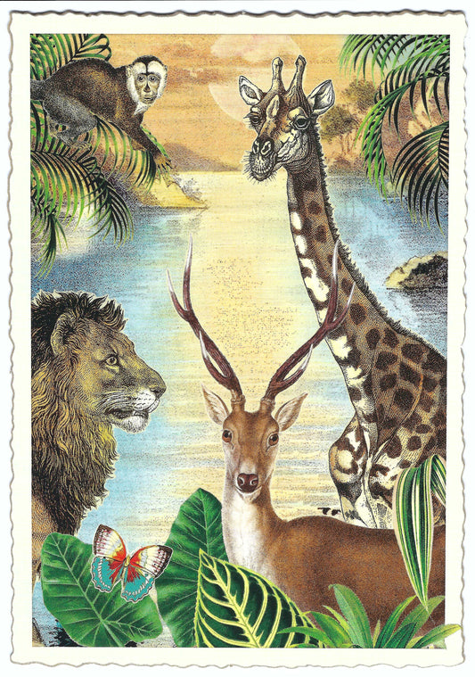 Edition Tausendschön - Jungle - Lion - Giraffe - PK782 - Postcard