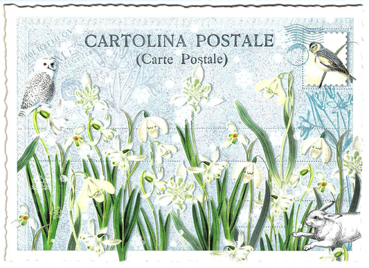 Edition Tausendschön - Lily of the Valley - PK620 - Postcard