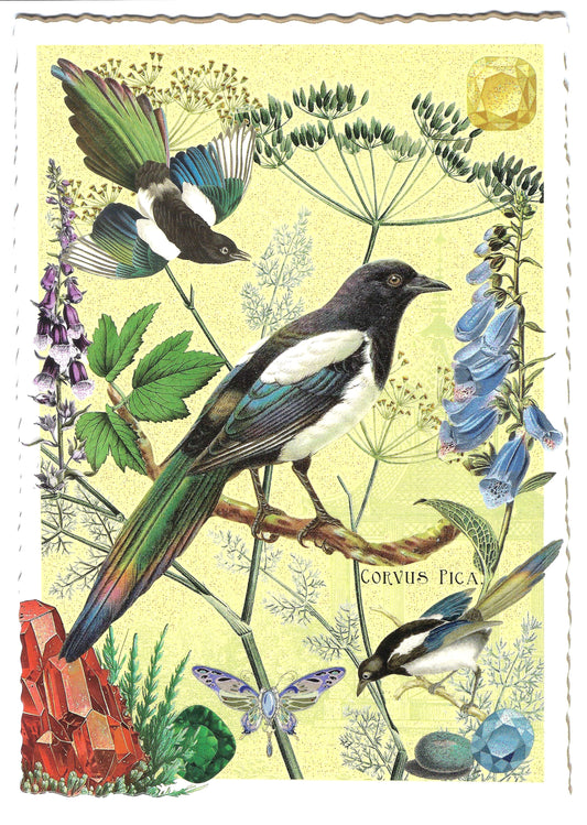 Edition Tausendschön - Magpies - PK1128 - Postcard