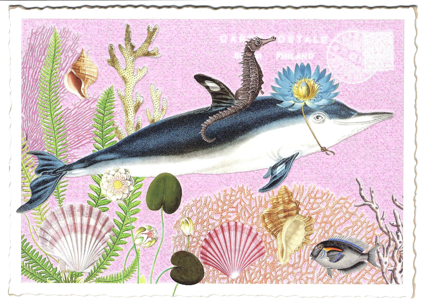 Edition Tausendschön - Marine Animals - Seahorse - Dolphin - Postcard