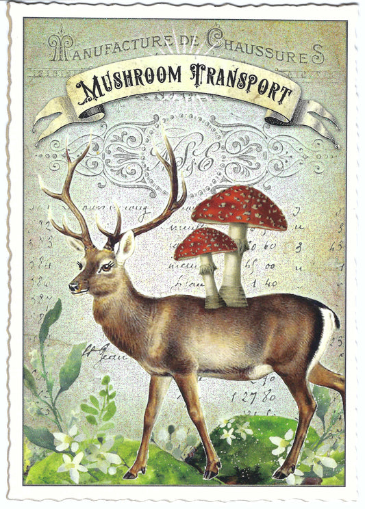 Edition Tausendschön postcard featuring an illustration of a deer with a mushroom on its back, titled 'MUSHROOM TRANSPORT' in a vintage style font.