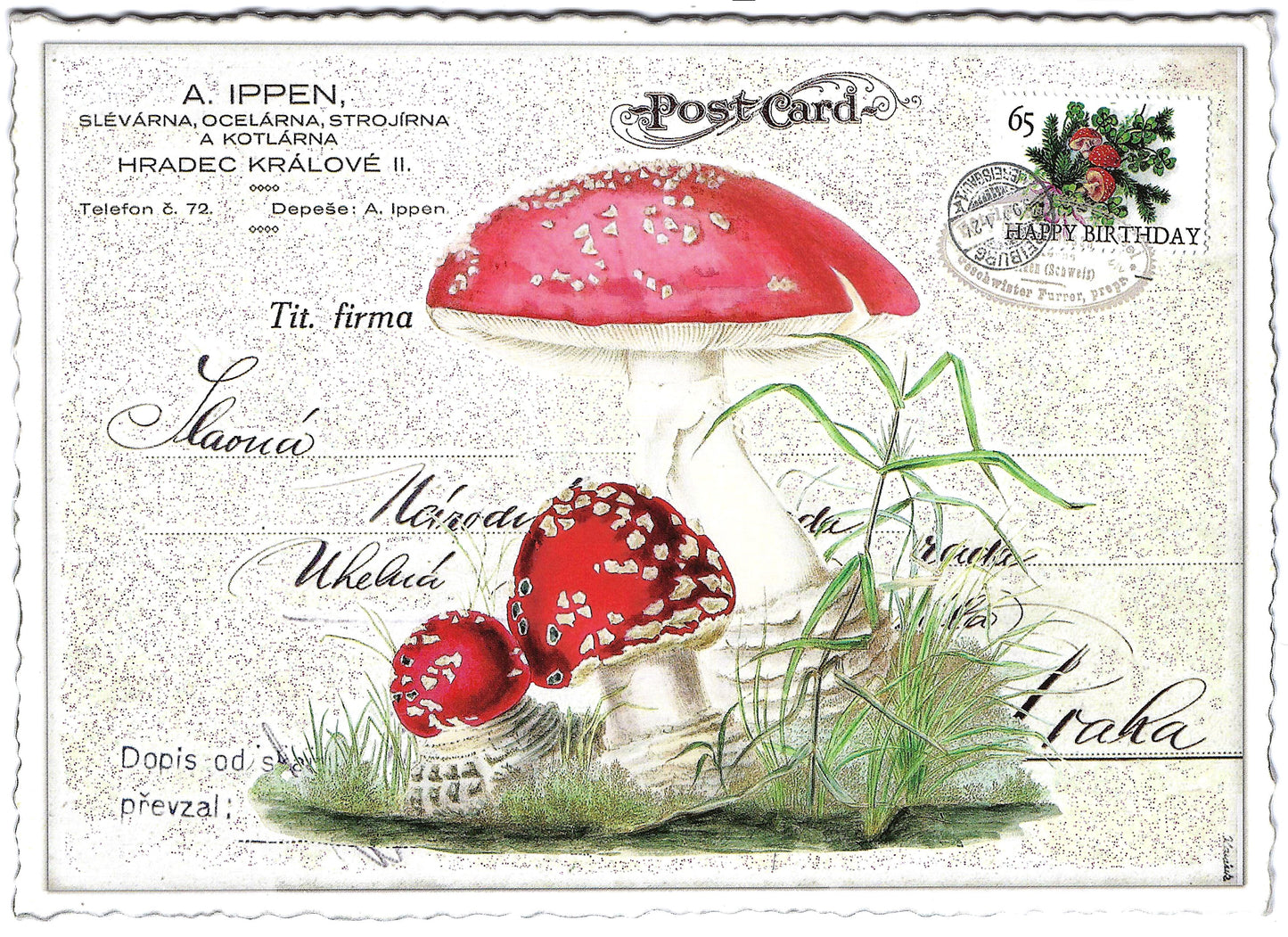 Edition Tausendschön - Mushrooms - PK668 - Postcard