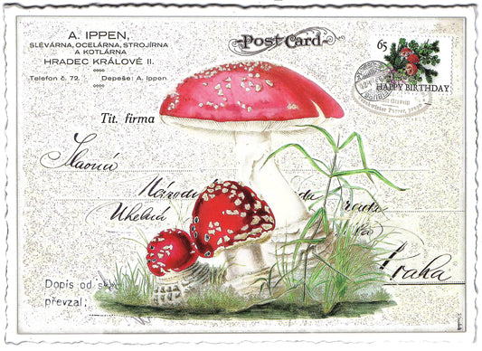 Edition Tausendschön - Mushrooms - PK668 - Postcard